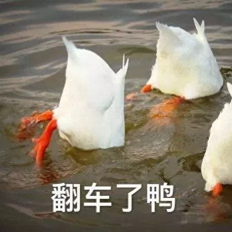 英雄无敌5删除技能代码　英雄无敌5控制台版权说明-第20张