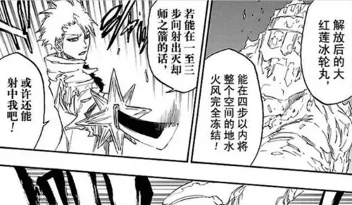 死神冬狮郎结局　卍解-第13张