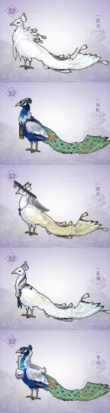 剑网三摸宠攻略　剑网3指尖江湖藏剑跟宠-第1张