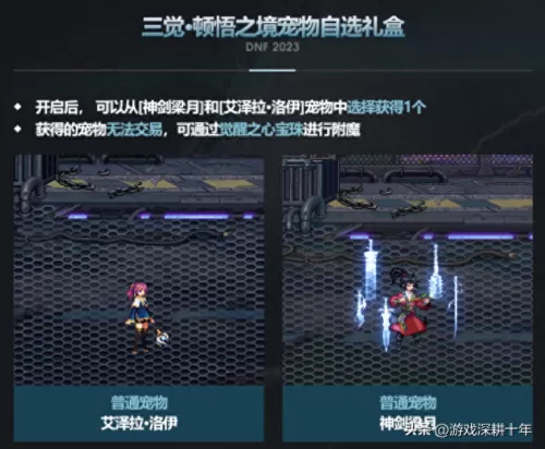 2023年dnf怎么觉醒　dnf三年后出来还可以玩吗-第8张