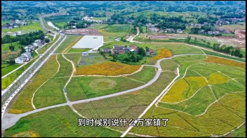 亮剑36集完整版　亮剑原版36集-第6张