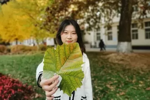 格斗高校　格斗项目对高校的意义-第18张