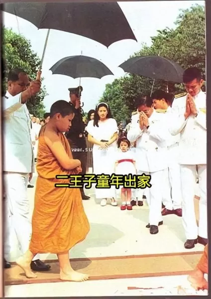 皇后成长计划2详细攻略表　皇后的成长计划2-第84张