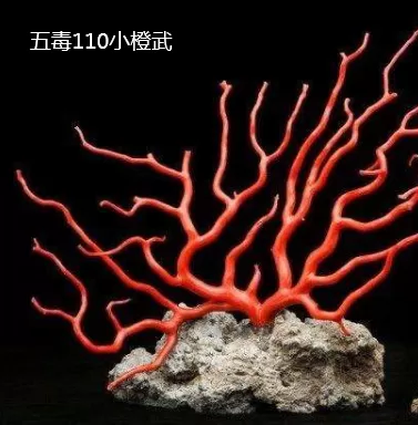 剑网3纯阳小橙武　剑网三纯阳小橙武-第67张