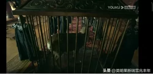 楚汉传奇电视剧80集全央视　楚汉传奇电视剧80集-第4张