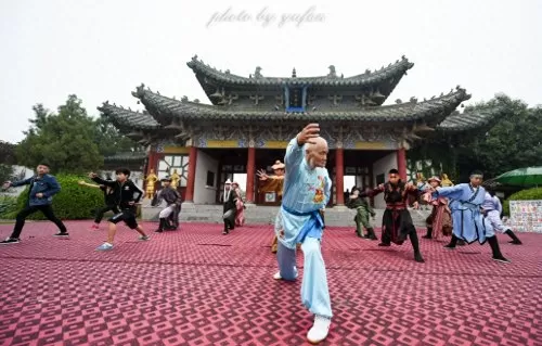 杨家将传奇太极站位图　杨家将传奇途中的战场攻略-第18张