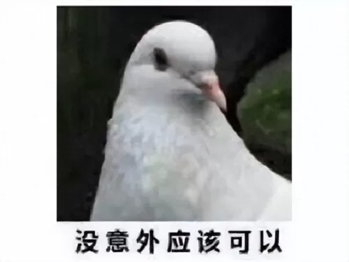 cf游戏工作室　CF制作公司-第11张