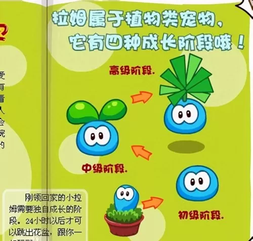 摩尔庄园毛毛头追逐战水球咋打　摩尔庄园水蛇送给谁-第5张