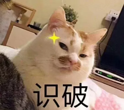 mlxg猪妹致命节奏出装　英雄联盟猪妹出装-第1张