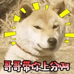 2017赛季最强阵容搭配　2017　2018骑士阵容-第1张