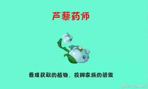 5阶植物最强阵容搭配　花园植物搭配图片大全-第1张
