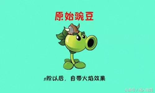 5阶植物最强阵容搭配　花园植物搭配图片大全-第3张