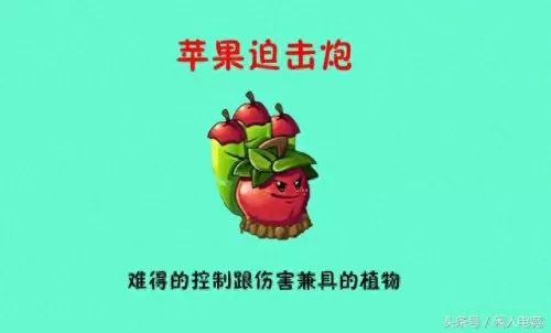5阶植物最强阵容搭配　花园植物搭配图片大全-第4张