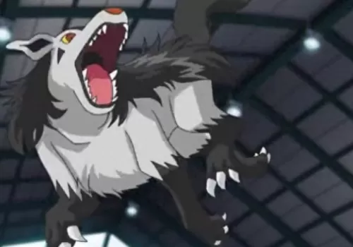 pokemon丰源精灵阵容搭配(pokemon 丰源)-第2张