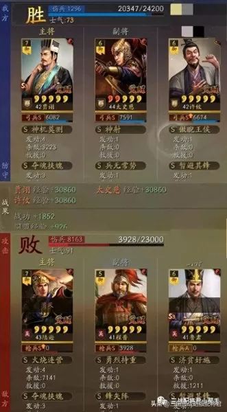 三国志白板刷野阵容搭配(三国志阵容搭配思路)-第7张