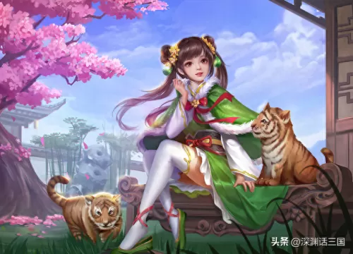 三国杀手游奇葩阵容搭配(三国荣耀最强阵容推荐)-第3张