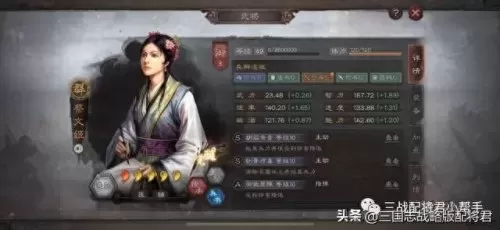 三战蔡文姬最强阵容搭配(蔡文姬和谁搭配最好玩)-第1张