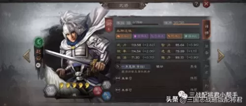 三赛季赵云阵容怎么搭配(赵云黄月英最强阵容搭配)-第1张
