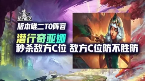 下棋阵容刺客搭配图解　皮耶罗的历史最佳阵容-第1张