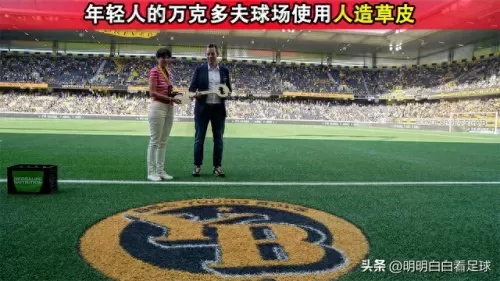 东西大战阵容搭配推荐　最佳阵容平民攻略-第6张