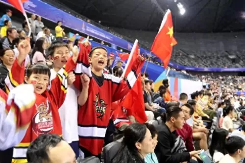 中国打冰球搭配什么阵容(冰球防守区域战术图解)-第10张