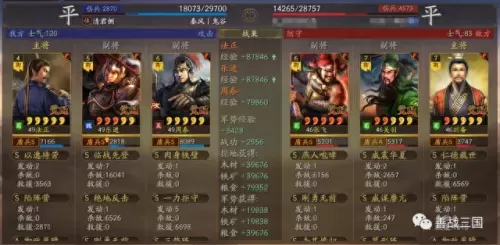 乐进输出阵容搭配图片　乐进魏枪黑科技-第4张