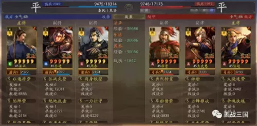 乐进输出阵容搭配图片　乐进魏枪黑科技-第12张
