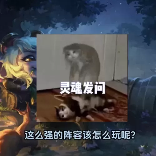 云顶s3抢手阵容装备搭配(云顶s3英雄装备搭配)-第2张