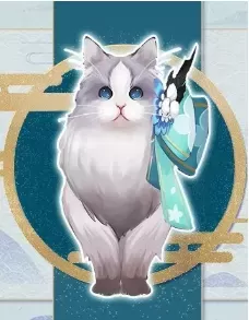 仙女猫咪阵容搭配图片　最漂亮的猫咪图片-第3张
