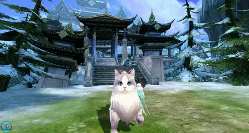 仙女猫咪阵容搭配图片　最漂亮的猫咪图片-第4张