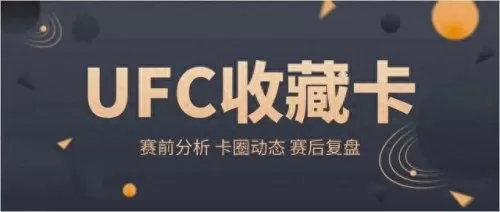 伦敦格斗之夜阵容搭配图(ufc格斗之夜最新一期)-第15张