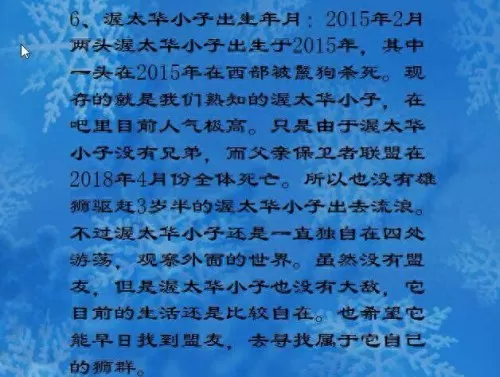 保卫联盟游戏阵容搭配　塔塔守卫战后期最强阵容-第1张