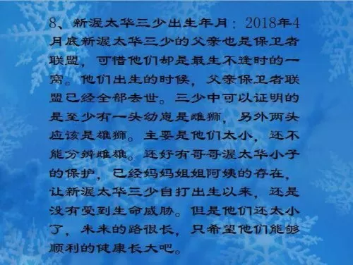 保卫联盟游戏阵容搭配　塔塔守卫战后期最强阵容-第5张