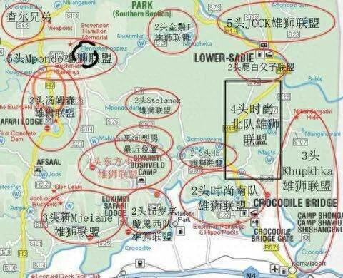 保卫联盟游戏阵容搭配　塔塔守卫战后期最强阵容-第15张