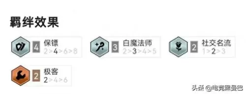 保镖阵容搭配图片大全　最帅保镖图片-第2张