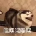 修仙卷轴阵容搭配图表　幻灵修仙传活动顺序-第8张