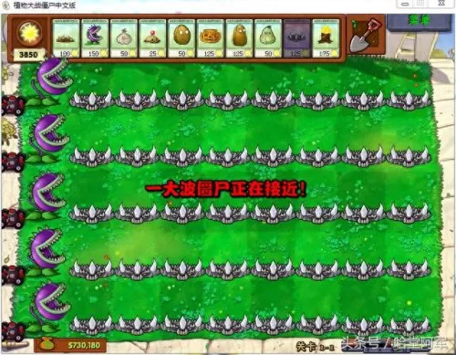 僵尸们的崩溃阵容搭配图(植物大战僵尸2阵容搭配)-第3张