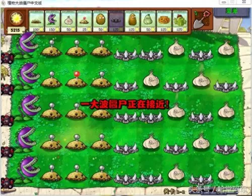 僵尸们的崩溃阵容搭配图(植物大战僵尸2阵容搭配)-第5张