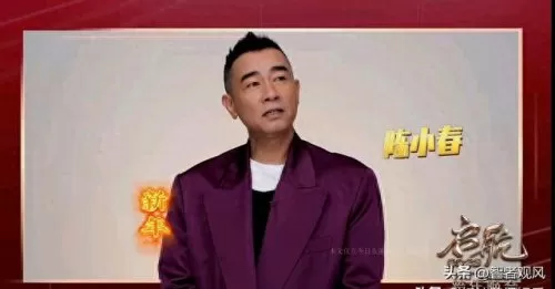 元旦央视晚会阵容搭配　元旦活动背景及意义-第5张