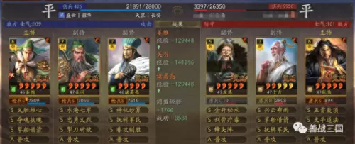 克制姜维的武将阵容搭配(典韦克制姜维吗)-第37张