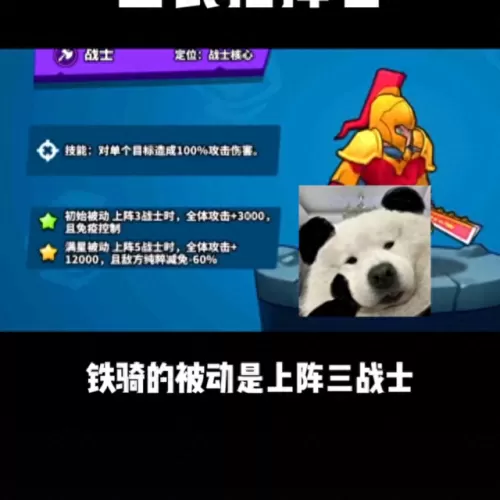 全民指挥官最强阵容搭配(全民指挥官弓b组阵容)-第1张