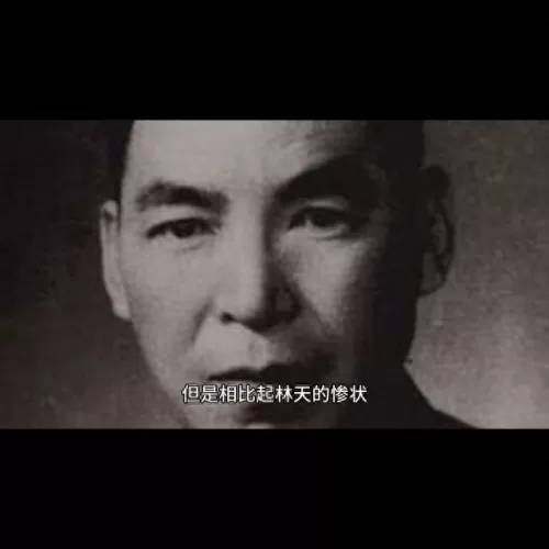 全民觉醒凤凰阵容搭配　口袋觉醒适合平民的四大最强阵容-第7张