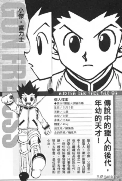 全职猎人会长阵容搭配　全职猎人23富坚义博-第9张