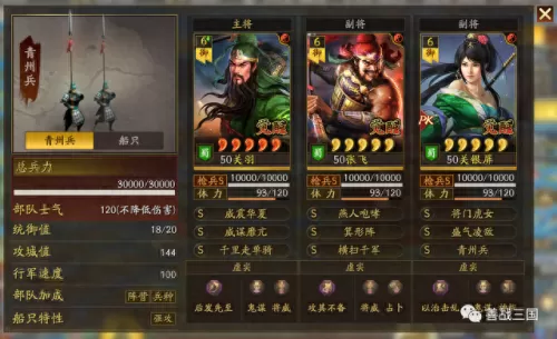 关羽和华佗怎么搭配阵容(华佗和关羽是一个时代的吗)-第43张