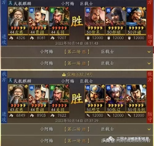 关羽终极阵容搭配谁用过(关羽搭配什么阵容最好)-第3张