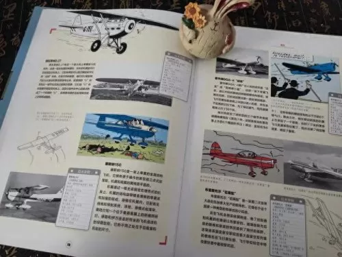 冒险飞机阵容搭配图鉴　冒险之旅攻略最强宠物阵容-第3张