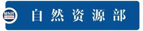 冬奥贵宾阵容搭配图片　冰雪冬奥手抄报图片-第1张