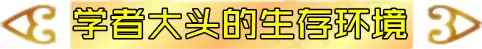 冷门学者阵容搭配推荐图(学者狐狸阵容怎么玩)-第4张