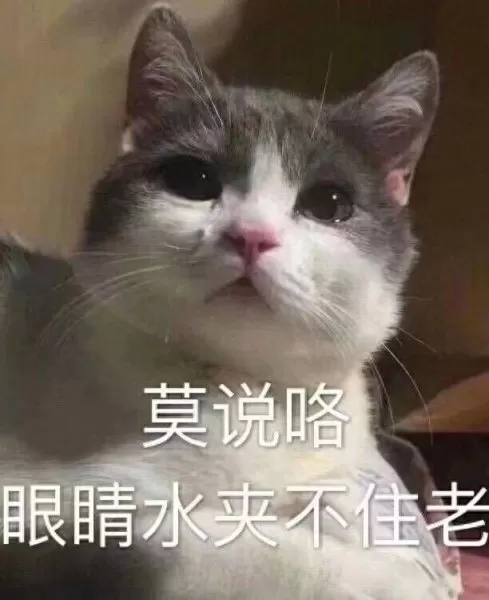 凌云诺阵容搭配御品　凌云诺食谱攻略-第4张