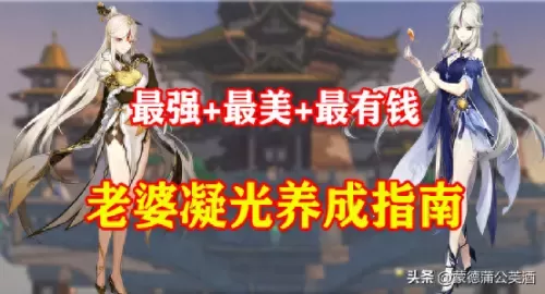 凝光钟离阵容搭配圣遗物(零命钟离带什么圣遗物)-第1张